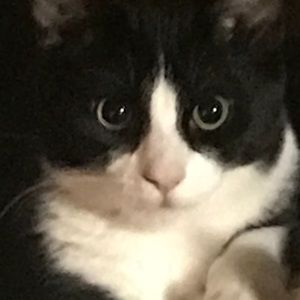 Meet your Posher, Jasmine